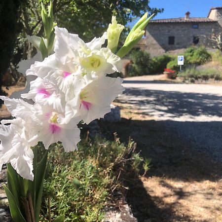 Agriturismo Malpensata Radda in Chianti Zewnętrze zdjęcie