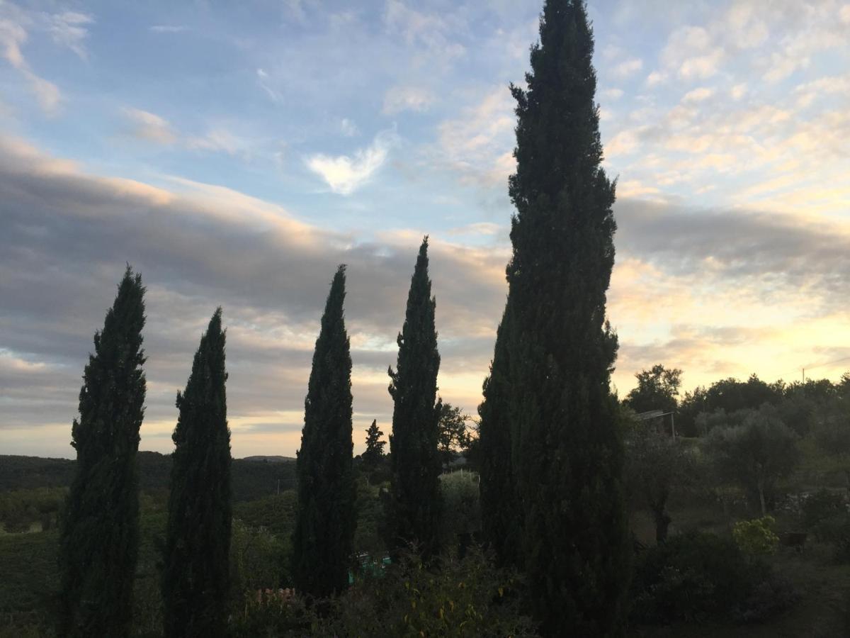 Agriturismo Malpensata Radda in Chianti Zewnętrze zdjęcie