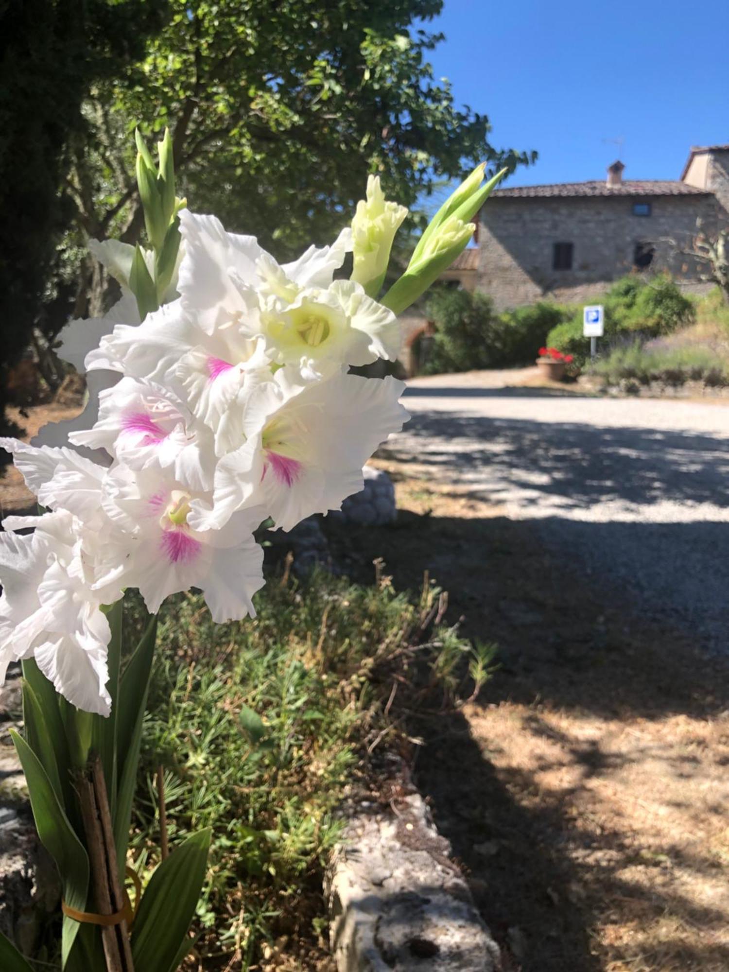 Agriturismo Malpensata Radda in Chianti Zewnętrze zdjęcie